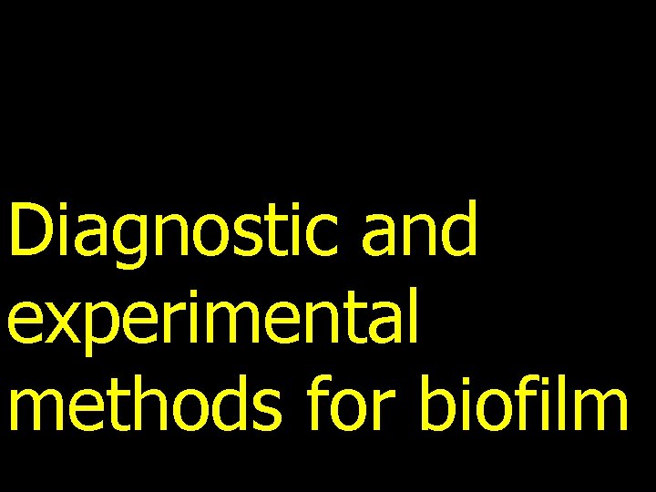 Diagnostic and experimental methods for biofilm 