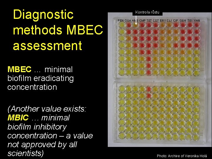 Diagnostic methods MBEC assessment Kontrola růstu PEN OXA AMS CMP TET COT ERY CLI