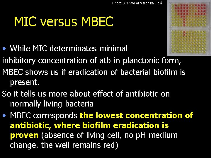Photo: Archive of Veronika Holá MIC versus MBEC • While MIC determinates minimal inhibitory