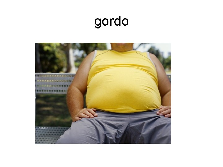 gordo 