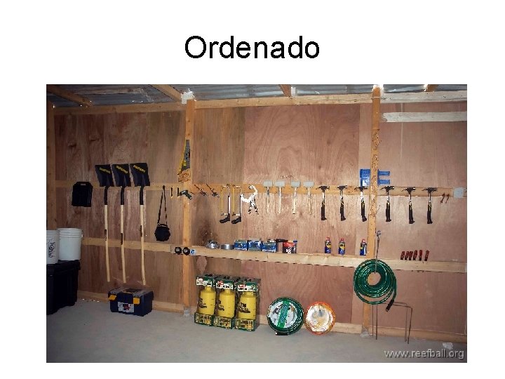 Ordenado 