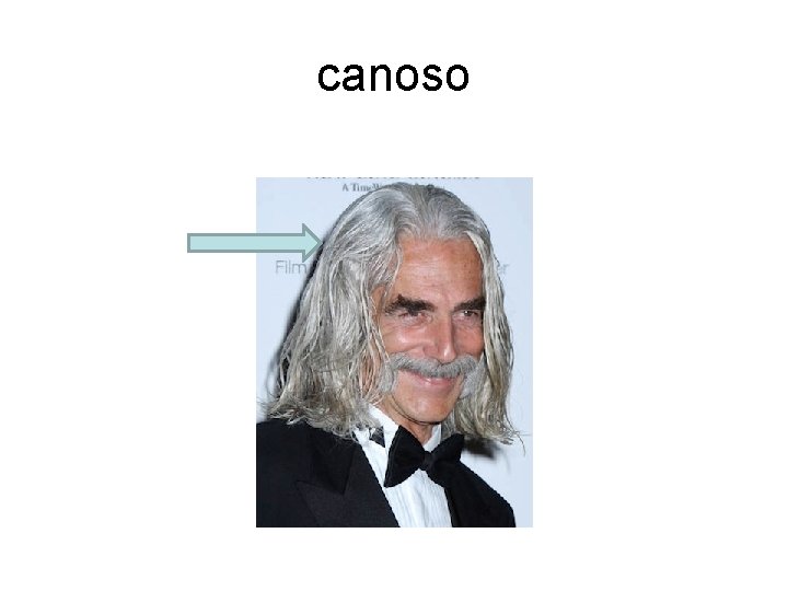canoso 