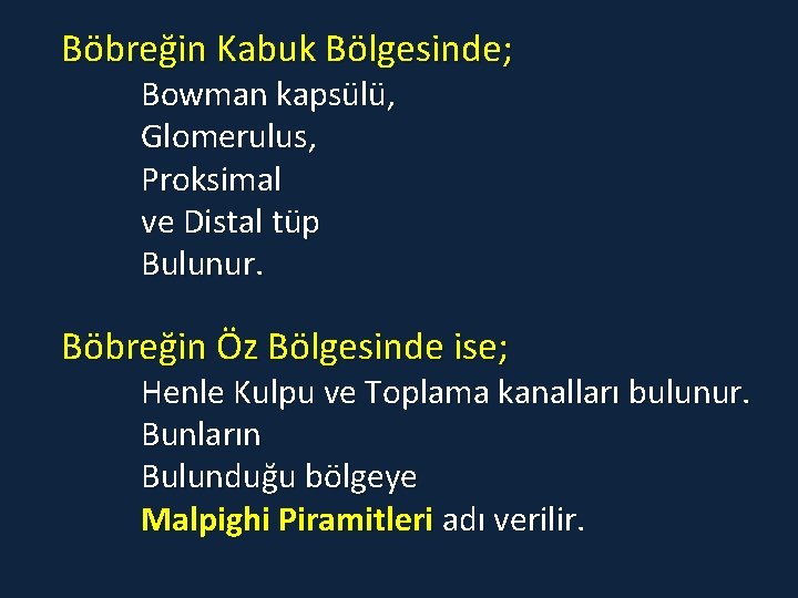 Böbreğin Kabuk Bölgesinde; Bowman kapsülü, Glomerulus, Proksimal ve Distal tüp Bulunur. Böbreğin Öz Bölgesinde