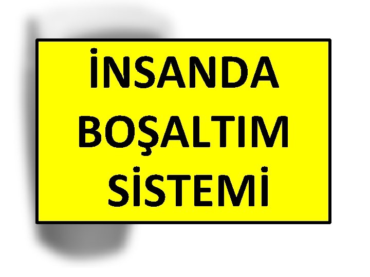 İNSANDA BOŞALTIM SİSTEMİ 