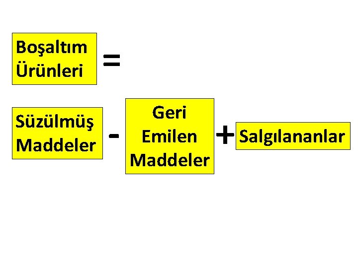 Boşaltım Ürünleri Süzülmüş Maddeler = - Geri Emilen Maddeler + Salgılananlar 