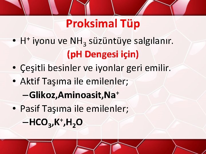 Proksimal Tüp • H+ iyonu ve NH 3 süzüntüye salgılanır. (p. H Dengesi için)