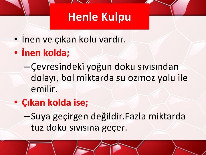 Henle Kulpu • İnen ve çıkan kolu vardır. • İnen kolda; – Çevresindeki yoğun