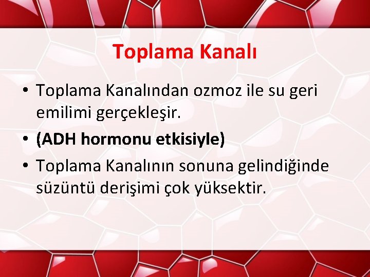 Toplama Kanalı • Toplama Kanalından ozmoz ile su geri emilimi gerçekleşir. • (ADH hormonu