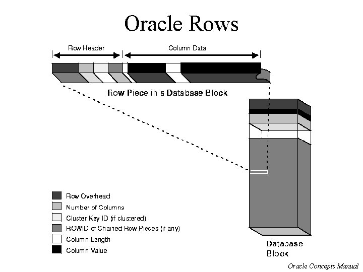 Oracle Rows Oracle Concepts Manual 
