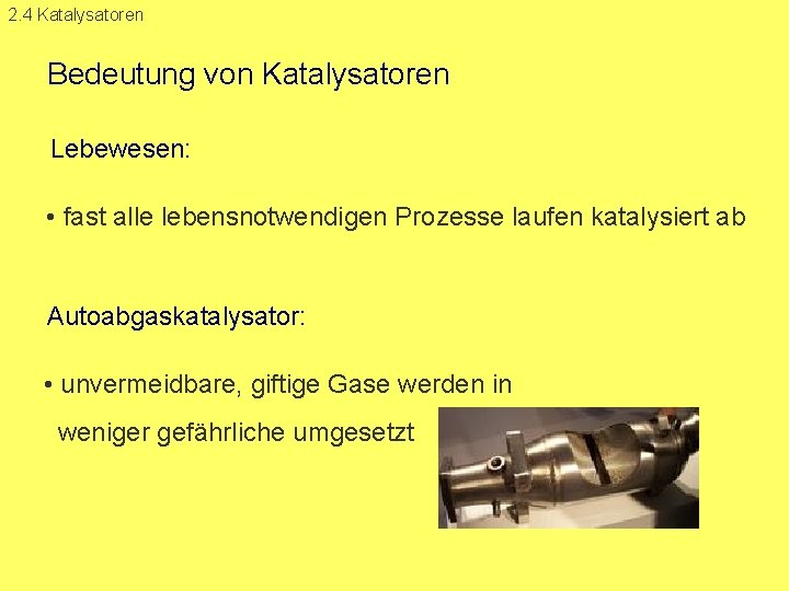 2. 4 Katalysatoren Bedeutung von Katalysatoren Lebewesen: • fast alle lebensnotwendigen Prozesse laufen katalysiert