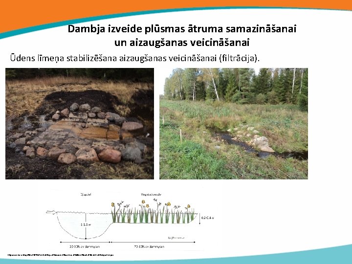 Dambja izveide plūsmas ātruma samazināšanai un aizaugšanas veicināšanai Ūdens līmeņa stabilizēšana aizaugšanas veicināšanai (filtrācija).