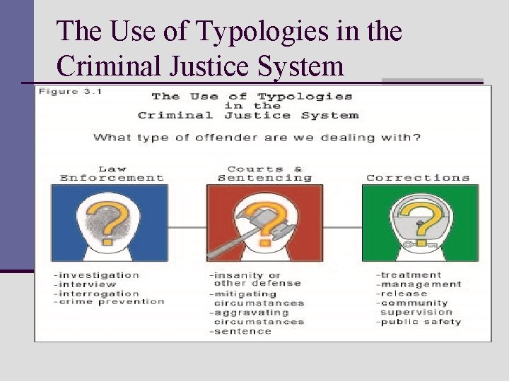 The Use of Typologies in the Criminal Justice System 
