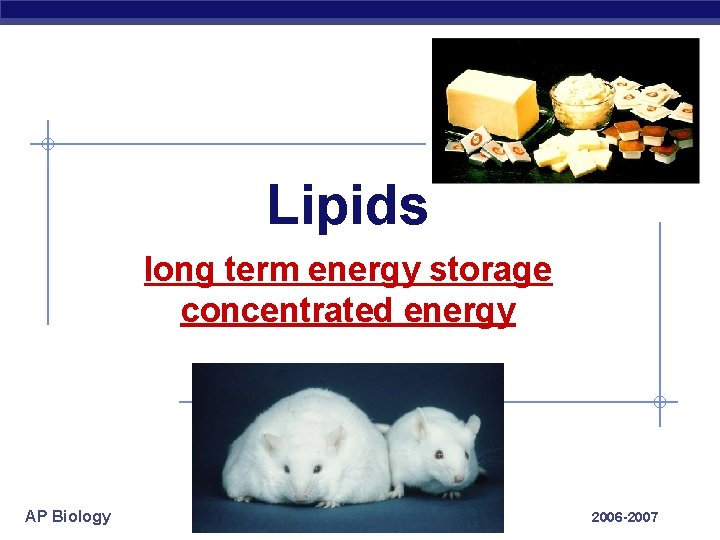 Lipids long term energy storage concentrated energy AP Biology 2006 -2007 