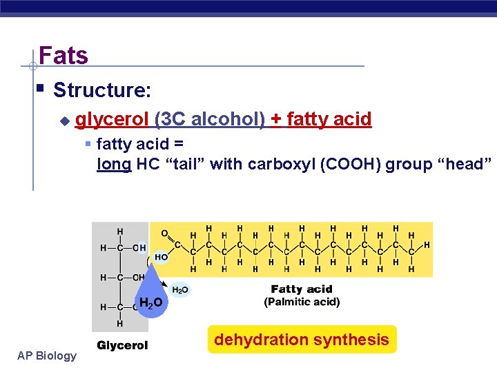 Fats § Structure: u glycerol (3 C alcohol) + fatty acid § fatty acid