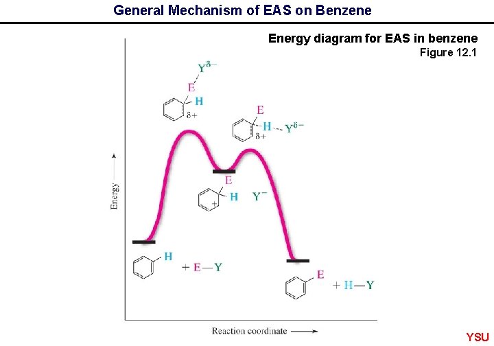 General Mechanism of EAS on Benzene Energy diagram for EAS in benzene Figure 12.