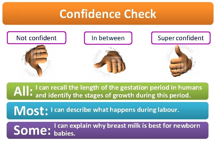 Confidence Check Not confident In between Super confident All: Most: I can describe what