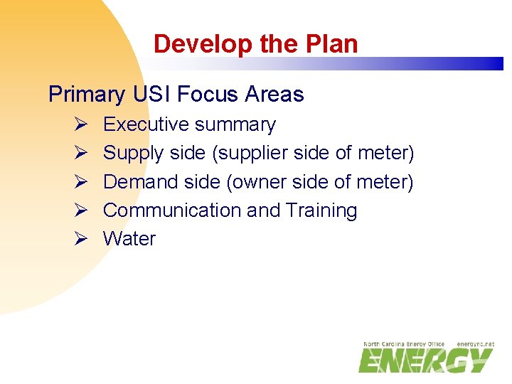 Develop the Plan Primary USI Focus Areas Ø Ø Ø Executive summary Supply side