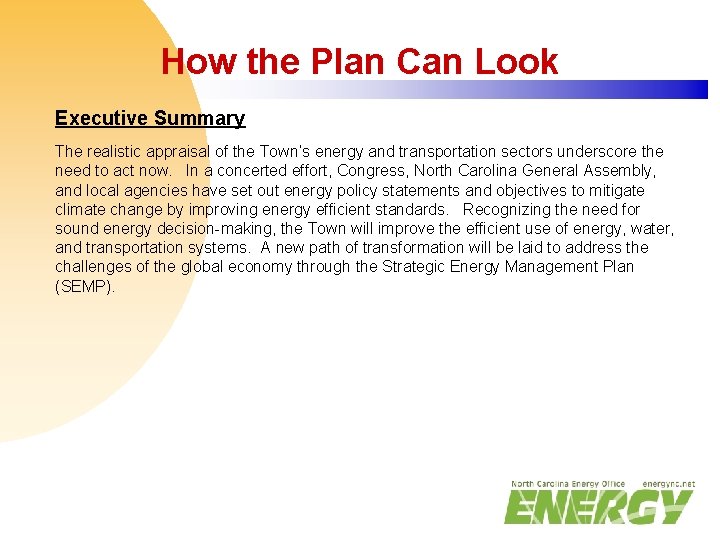 How the Plan Can Look Executive Summary The realistic appraisal of the Town’s energy