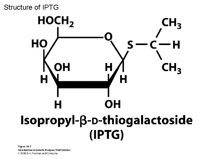 Structure of IPTG Figure 10 -7 
