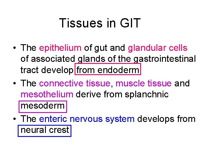 Tissues in GIT • The epithelium of gut and glandular cells of associated glands
