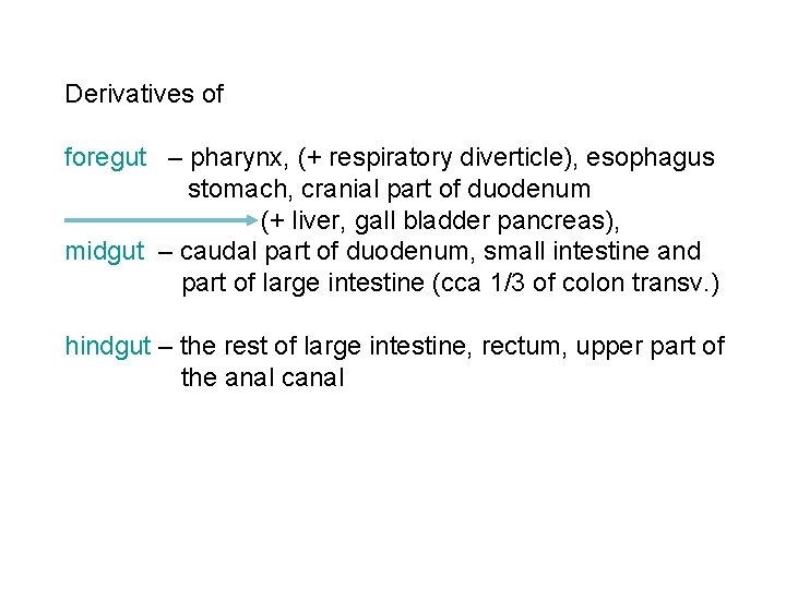 Derivatives of foregut – pharynx, (+ respiratory diverticle), esophagus stomach, cranial part of duodenum