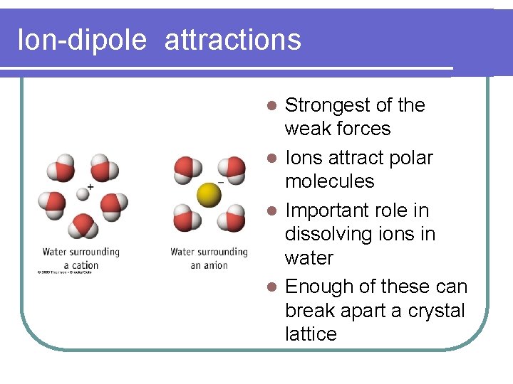 Ion-dipole attractions Strongest of the weak forces l Ions attract polar molecules l Important