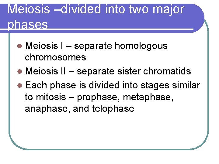 Meiosis –divided into two major phases l Meiosis I – separate homologous chromosomes l