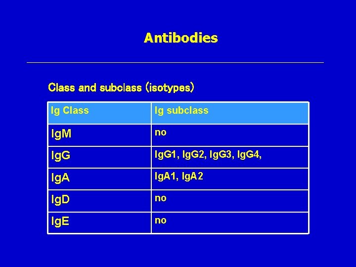 Antibodies Class and subclass (isotypes) Ig Class Ig subclass Ig. M no Ig. G