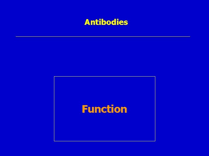 Antibodies Function 