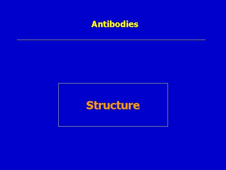 Antibodies Structure 