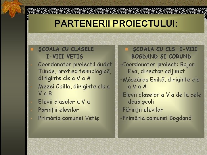 PARTENERII PROIECTULUI: n ŞCOALA CU CLASELE I-VIII VETIŞ - - Coordonator proiect: Lăudat Tünde,