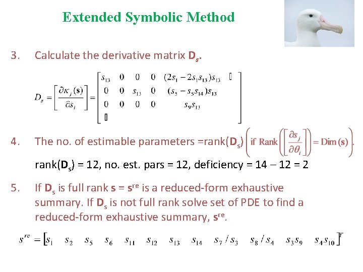 Extended Symbolic Method 3. Calculate the derivative matrix Ds. 4. The no. of estimable