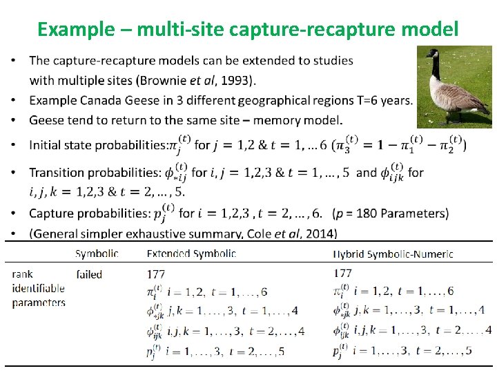 Example – multi-site capture-recapture model • 24/27 