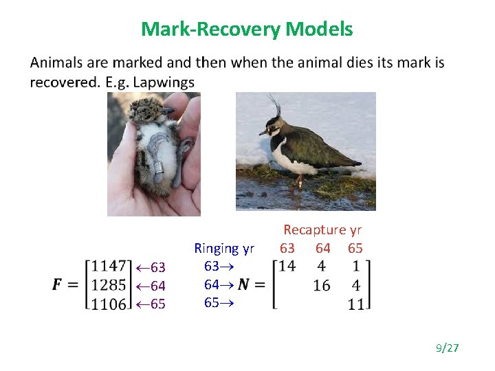 Mark-Recovery Models • ¬ 63 ¬ 64 ¬ 65 Ringing yr 63 64 65
