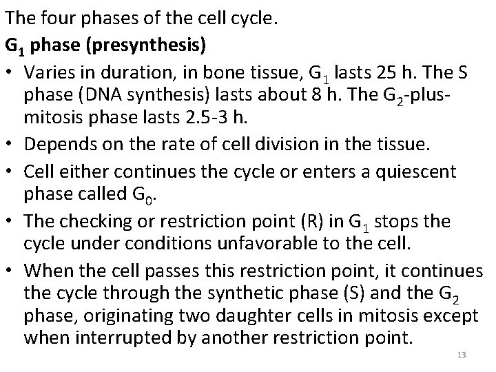 The four phases of the cell cycle. G 1 phase (presynthesis) • Varies in
