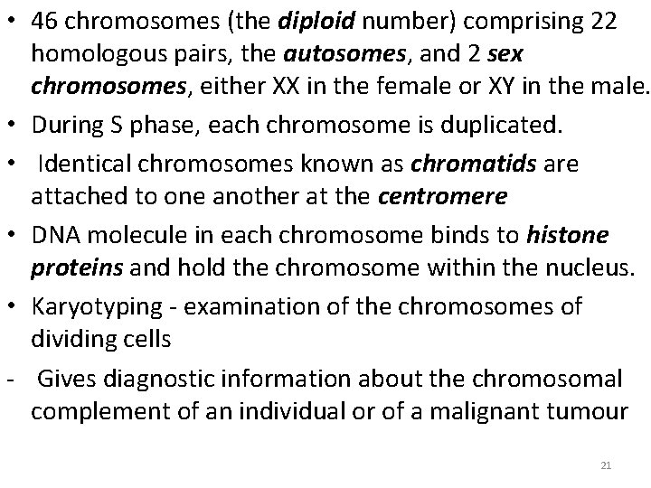  • 46 chromosomes (the diploid number) comprising 22 homologous pairs, the autosomes, and