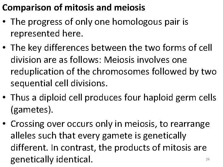 Comparison of mitosis and meiosis • The progress of only one homologous pair is