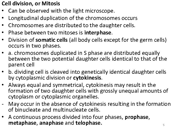 Cell division, or Mitosis • Can be observed with the light microscope. • Longitudinal