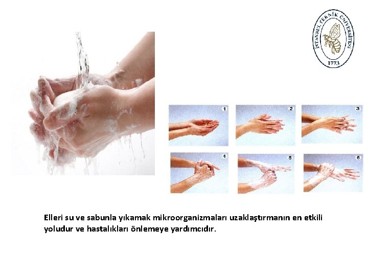 Elleri su ve sabunla yıkamak mikroorganizmaları uzaklaştırmanın en etkili yoludur ve hastalıkları önlemeye yardımcıdır.