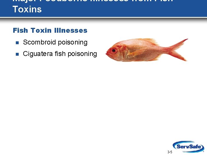 Major Foodborne Illnesses from Fish Toxins Fish Toxin Illnesses n Scombroid poisoning n Ciguatera