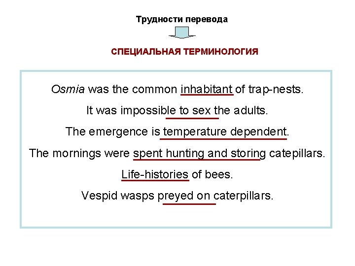 Трудности перевода СПЕЦИАЛЬНАЯ ТЕРМИНОЛОГИЯ Osmia was the common inhabitant of trap-nests. It was impossible