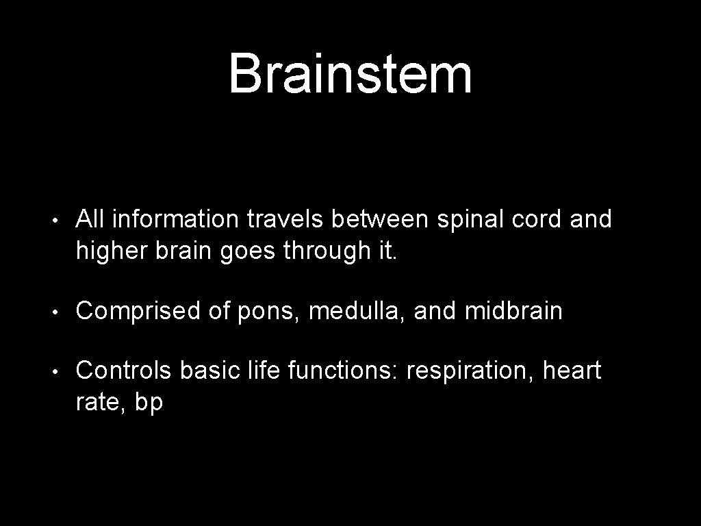 Brainstem • All information travels between spinal cord and higher brain goes through it.