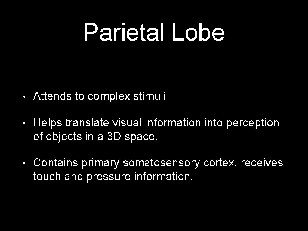 Parietal Lobe • Attends to complex stimuli • Helps translate visual information into perception