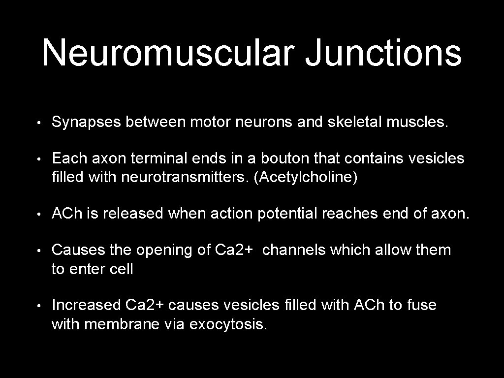 Neuromuscular Junctions • Synapses between motor neurons and skeletal muscles. • Each axon terminal