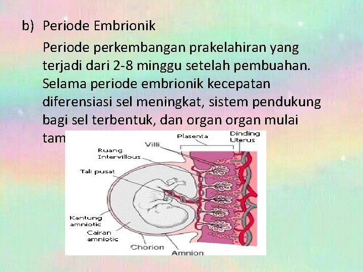 b) Periode Embrionik Periode perkembangan prakelahiran yang terjadi dari 2 -8 minggu setelah pembuahan.