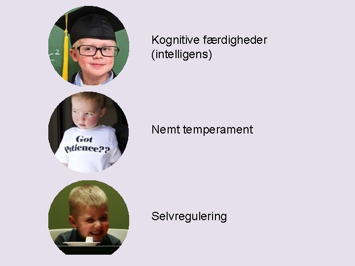 Kognitive færdigheder (intelligens) Nemt temperament Selvregulering 