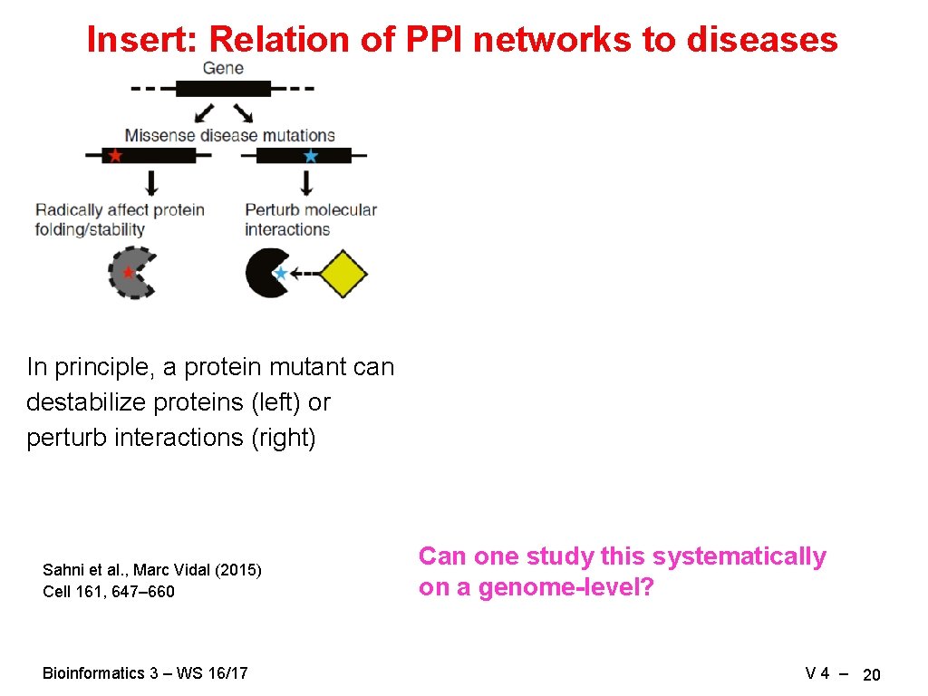 Insert: Relation of PPI networks to diseases In principle, a protein mutant can destabilize