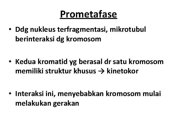 Prometafase • Ddg nukleus terfragmentasi, mikrotubul berinteraksi dg kromosom • Kedua kromatid yg berasal
