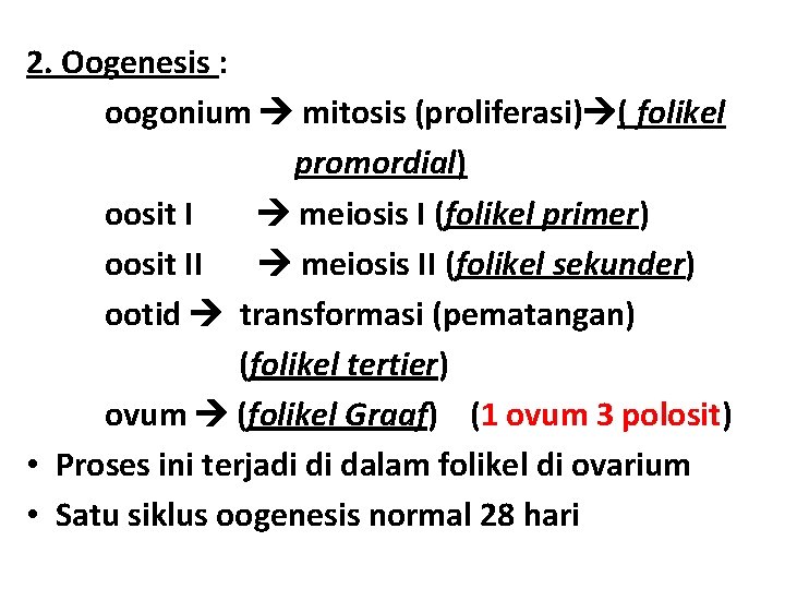 2. Oogenesis : oogonium mitosis (proliferasi) ( folikel promordial) oosit I meiosis I (folikel