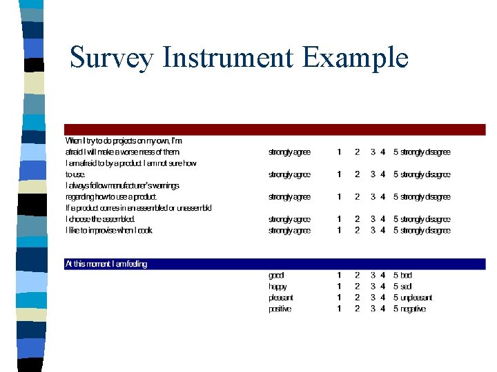 Survey Instrument Example 